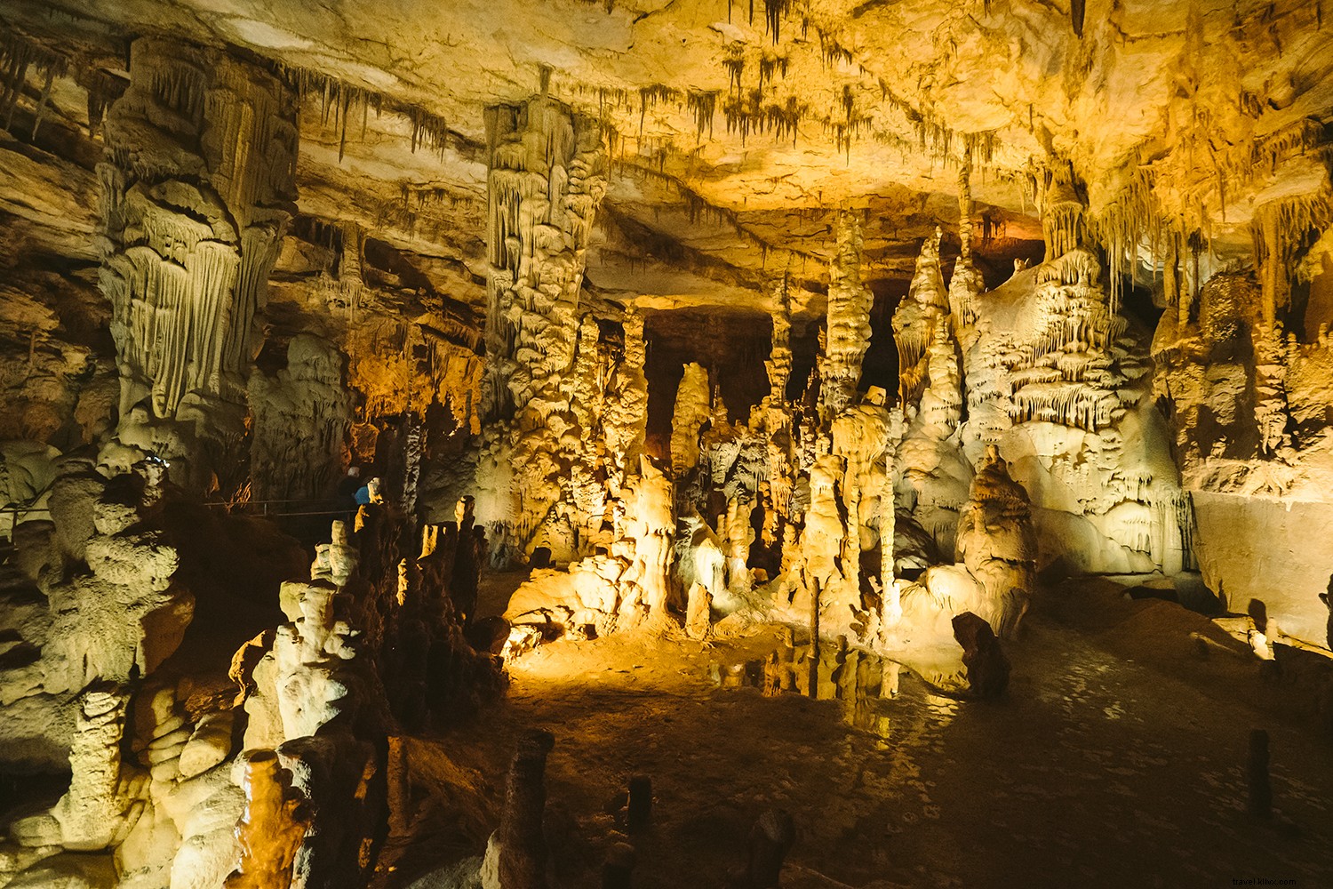 Le meraviglie naturali dell Alabama ti colpiscono con il loro colpo migliore 